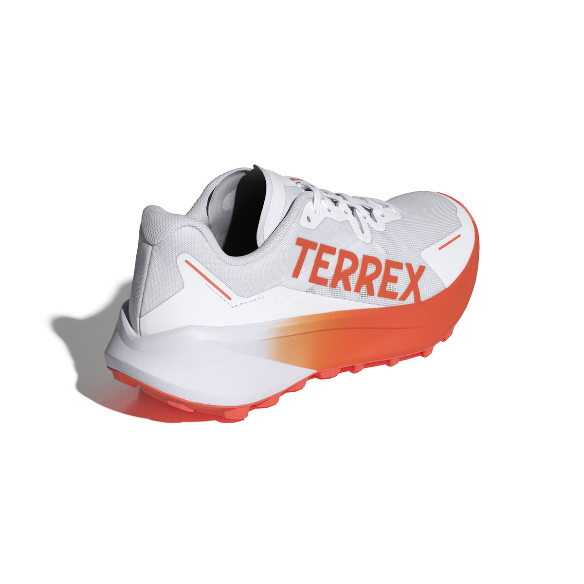 Terrex Agravic 3 - Men's